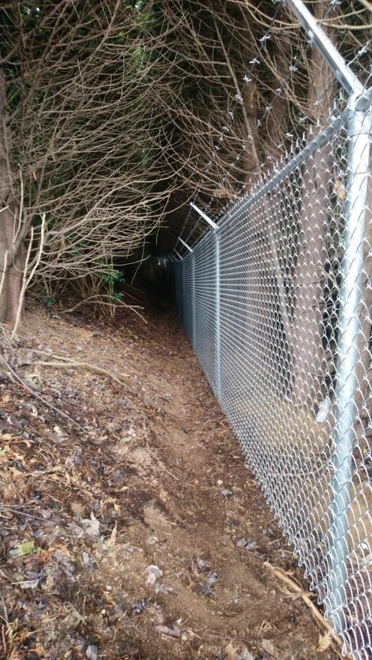 6-foot galvanized chain link fence with three-strand barbed wire running along a narrow treed property line in Abbotsford BC