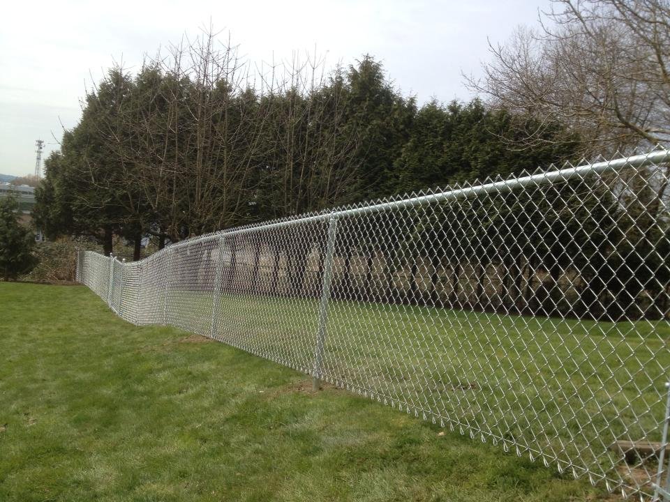 4-foot galvanized chain link residential yard fence with top rail installed in the Fraser Valley
