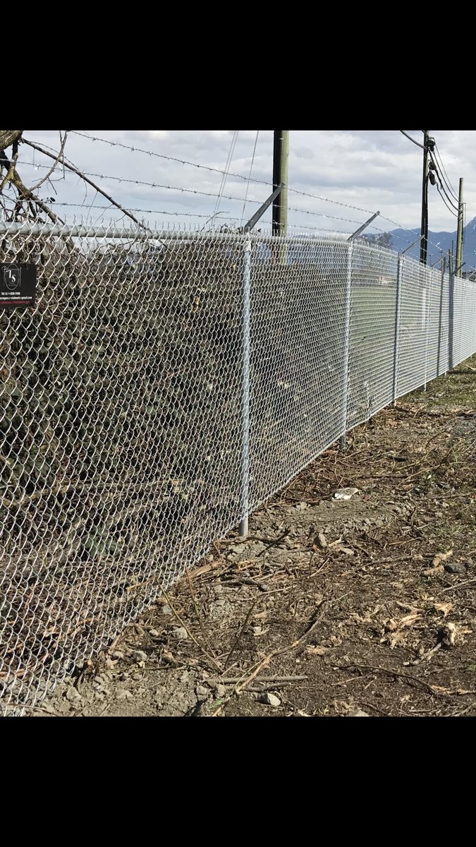 Galvanized chain-link fence beside a wooded boundary — photograph supplied by LS Fencing & Metal Work