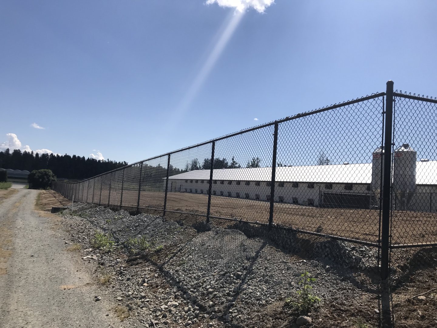 Black chain-link fence around an open field — photograph supplied by LS Fencing & Metal Work