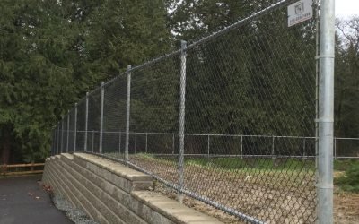 Why You Should Consider Fencing as an Option