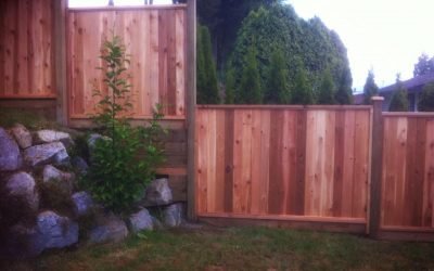 Best Fencing Options and their Qualities